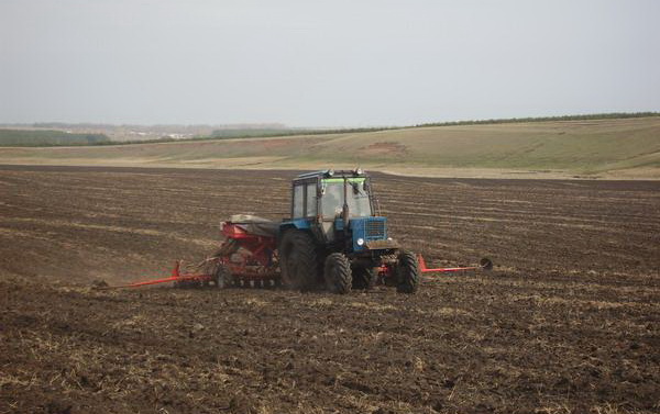 traktor v pole
